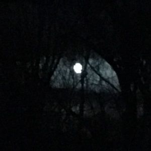 Meet your Posher, Kathleen